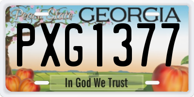 GA license plate PXG1377