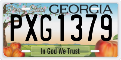 GA license plate PXG1379