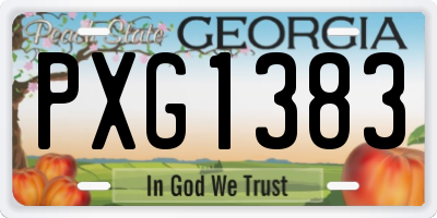 GA license plate PXG1383