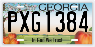 GA license plate PXG1384