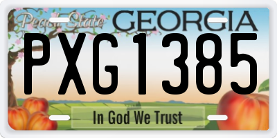 GA license plate PXG1385