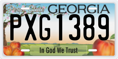 GA license plate PXG1389