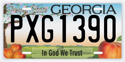 GA license plate PXG1390