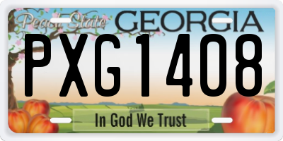 GA license plate PXG1408