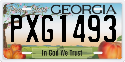 GA license plate PXG1493