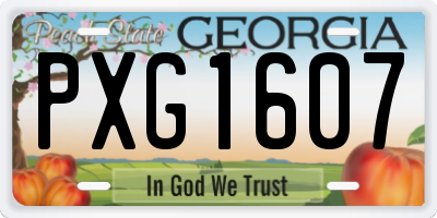 GA license plate PXG1607