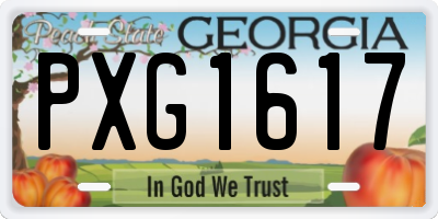 GA license plate PXG1617