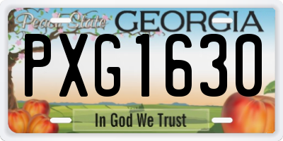 GA license plate PXG1630