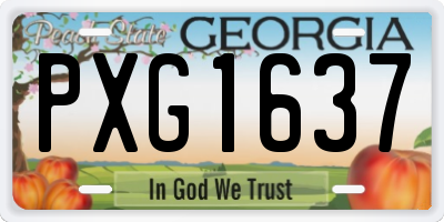 GA license plate PXG1637