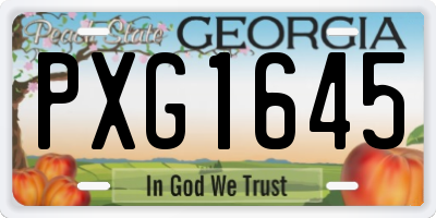 GA license plate PXG1645