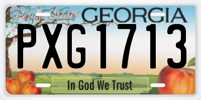 GA license plate PXG1713