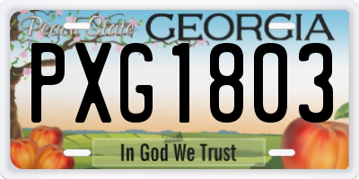 GA license plate PXG1803