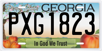 GA license plate PXG1823