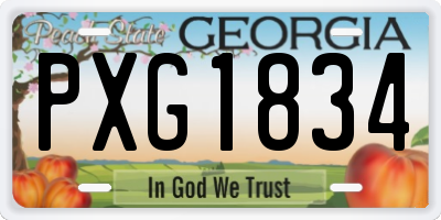 GA license plate PXG1834