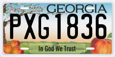 GA license plate PXG1836