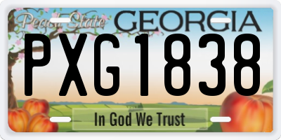 GA license plate PXG1838