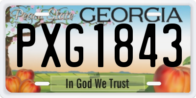 GA license plate PXG1843