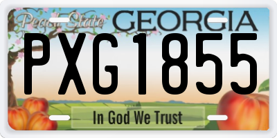 GA license plate PXG1855