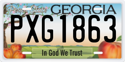 GA license plate PXG1863