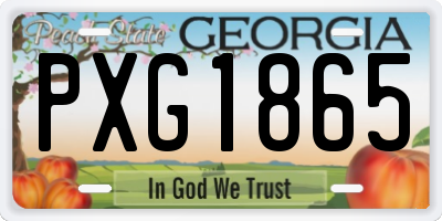 GA license plate PXG1865
