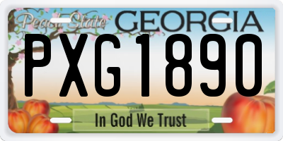 GA license plate PXG1890
