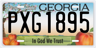 GA license plate PXG1895