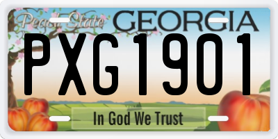 GA license plate PXG1901