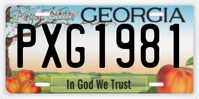 GA license plate PXG1981
