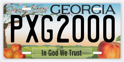 GA license plate PXG2000