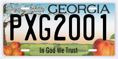 GA license plate PXG2001