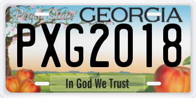 GA license plate PXG2018
