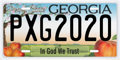 GA license plate PXG2020