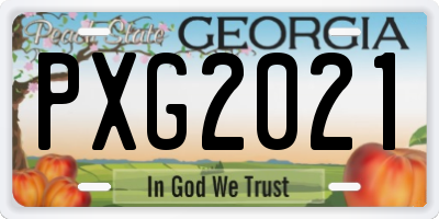 GA license plate PXG2021