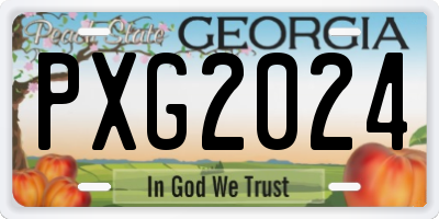 GA license plate PXG2024