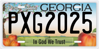 GA license plate PXG2025