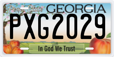GA license plate PXG2029