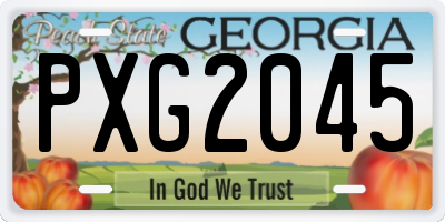 GA license plate PXG2045