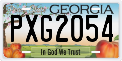 GA license plate PXG2054