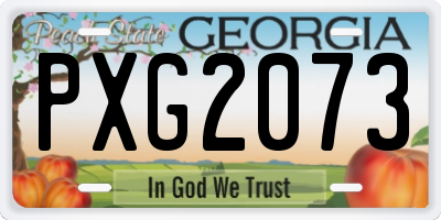 GA license plate PXG2073