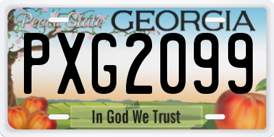GA license plate PXG2099