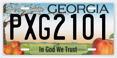 GA license plate PXG2101