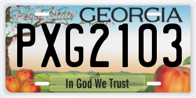 GA license plate PXG2103