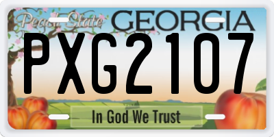 GA license plate PXG2107