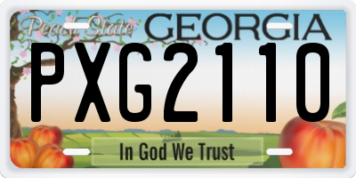 GA license plate PXG2110