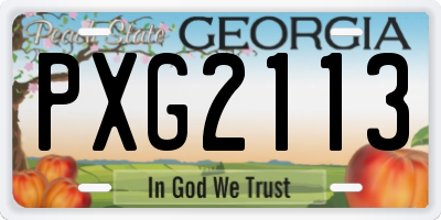 GA license plate PXG2113