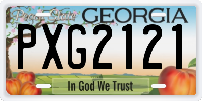 GA license plate PXG2121