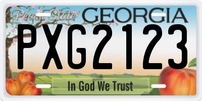 GA license plate PXG2123