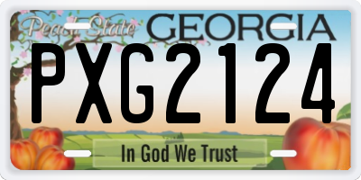 GA license plate PXG2124