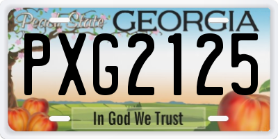GA license plate PXG2125