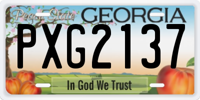 GA license plate PXG2137